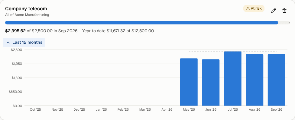 A budget's last 12 months against the budget line