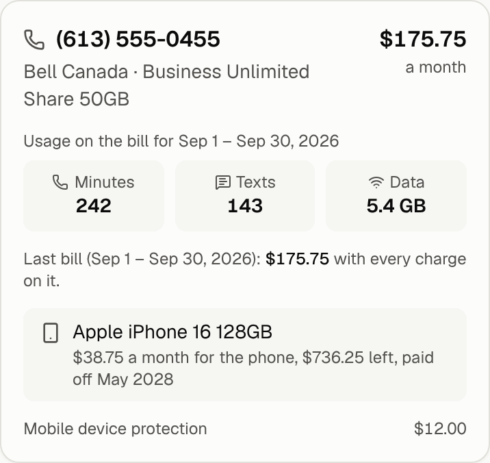 One line on a phone: the plan and monthly cost, usage on the last bill, the phone and its add-ons